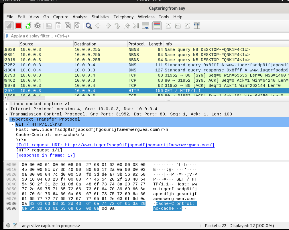 Wireshark practical malware analysis and triage